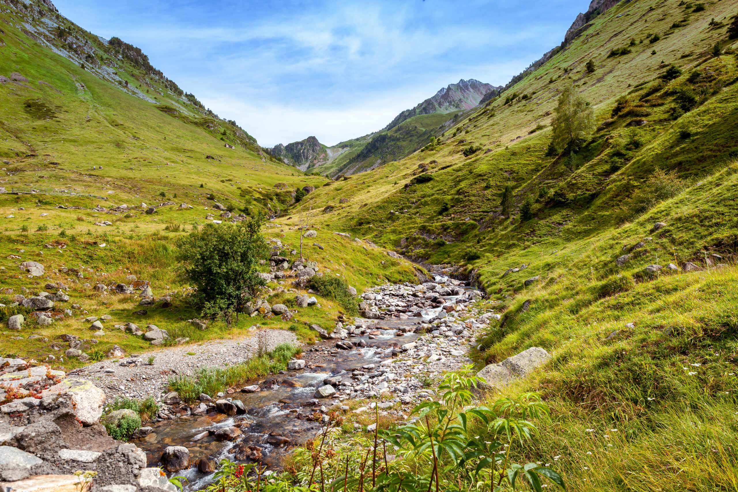 AdobeStock 448269446